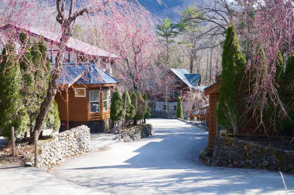 Hakuba Canadian Lodge Exteriér fotografie