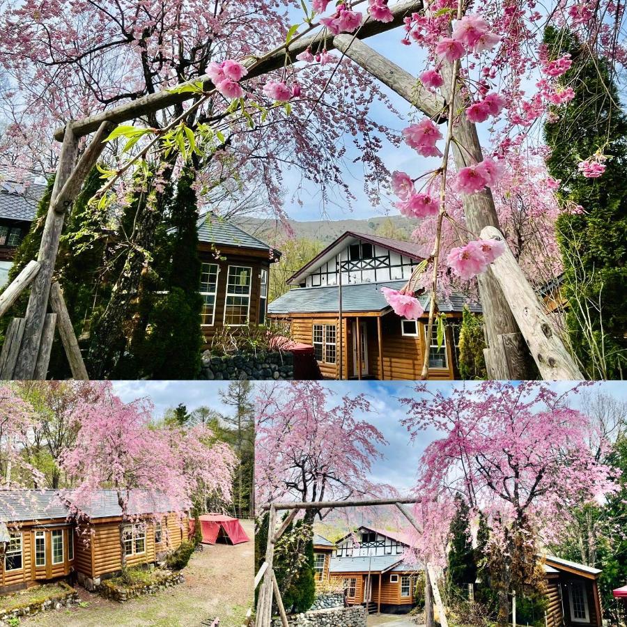 Hakuba Canadian Lodge Exteriér fotografie